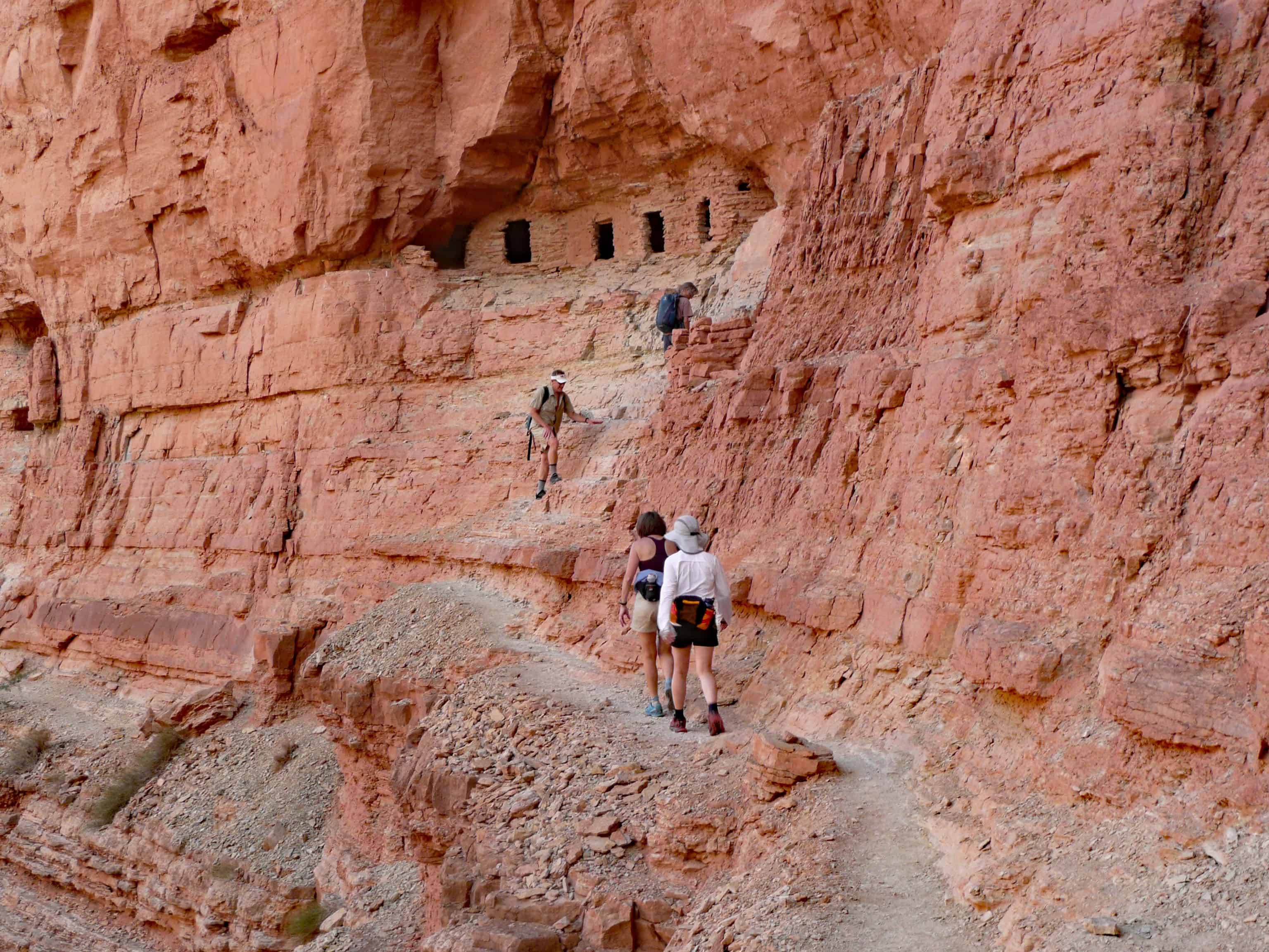 Fossil Hunters Discover Lost World Of Ancient Animals In Grand Canyon! - mcuddrq
