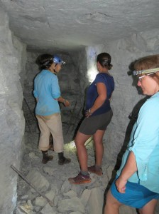 grand canyon bat abandoned mine