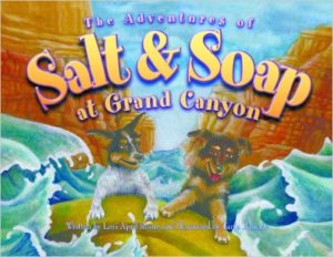 Grand Canyon Kids Books The Adventures of Salt and Soap at Grand Canyon