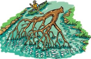 Courtesy of Pennsylvania Fish and Boat Commission.
