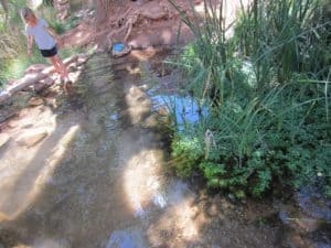Creek Crossing Bright Angel Trail